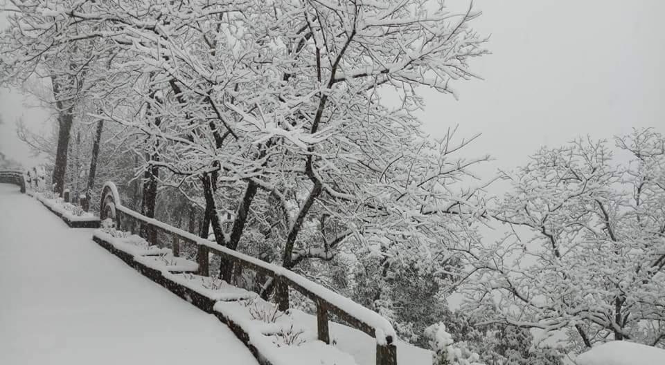 Hotel Devlok Primal Mussoorie Εξωτερικό φωτογραφία